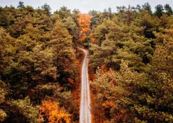 ANWB Kampeergidsen|Kampeergidsen><noscript><img width=