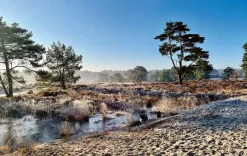 ANWB Wandelgidsen|Wandelgidsen><noscript><img width=