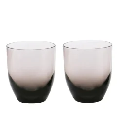 Travellife Bekers & Glazen<Feria drinkglas smokey 2 stuks