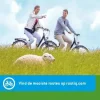Falk Fietskaarten|Fietskaarten>fietskaart 03 Friese meren