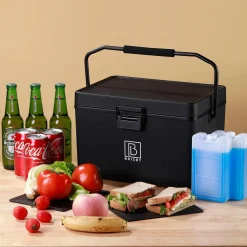 Brisby Koelboxen|Koelkasten>Koelbox - 12L - Draaghendel