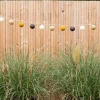 Cotton Ball Lights Lichtslingers>Outdoor Lichtslinger - Starter - Sol