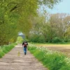 Falk Wandelkaarten|Wandelkaarten>Regiokaart Twente-Noord inclusief Dinkelland
