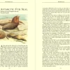 Bradt Guides Reisgidsen|Reisboeken<Reisgids Antarctica Wildlife 8