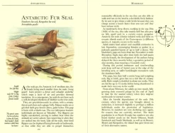 Bradt Guides Reisgidsen|Reisboeken<Reisgids Antarctica Wildlife 8