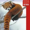 Bradt Guides Reisgidsen|Reisgidsen>Reisgids Chinese Wildlife 2