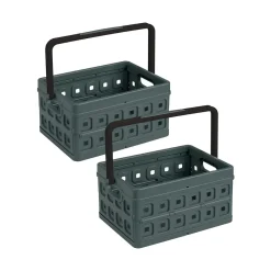 Sunware Opbergmanden En- Kratten>Square - Vouwkrat met handgreep - 24L - 2-dlg
