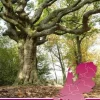 ANWB Wandelkaarten|Wandelkaarten>Wandelkaart Acht Zaligheden
