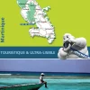Michelin Wegenkaarten<Wegenkaart Zoom 138 Martinique